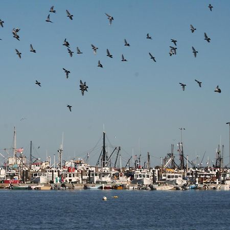 Anchor Inn Beach House Provincetown Bagian luar foto