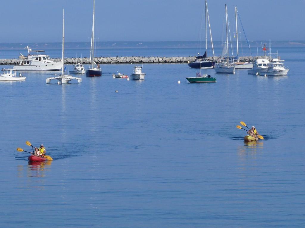 Anchor Inn Beach House Provincetown Bagian luar foto