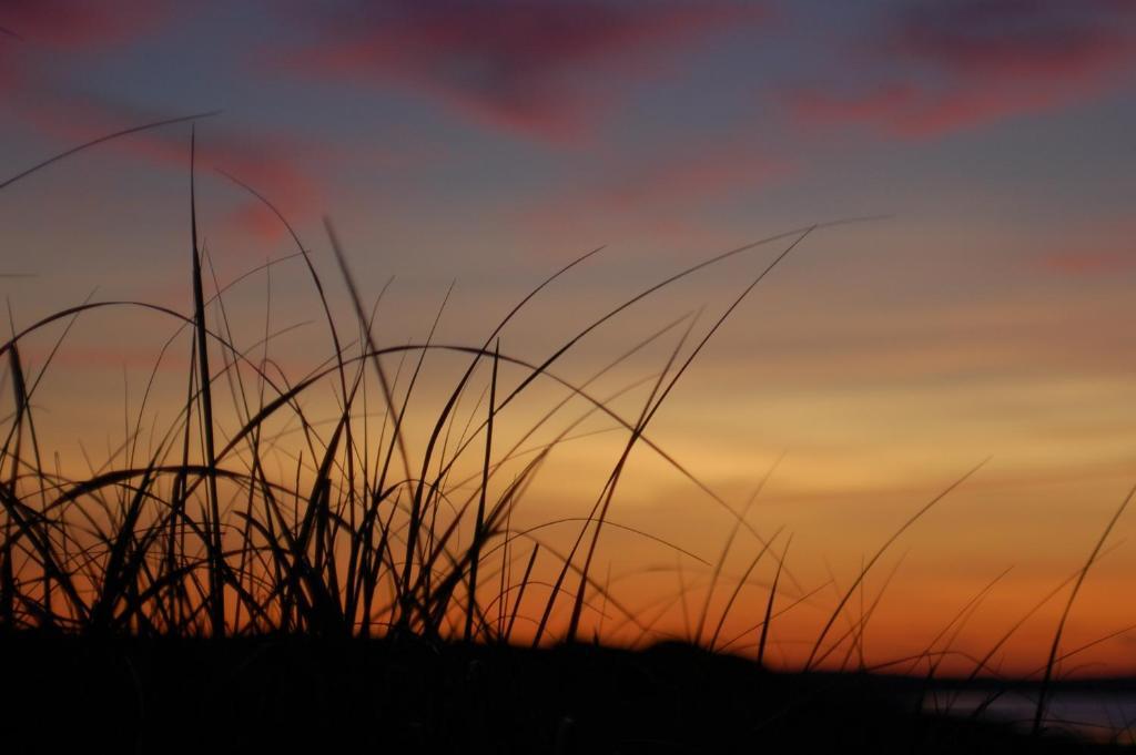 Anchor Inn Beach House Provincetown Bagian luar foto
