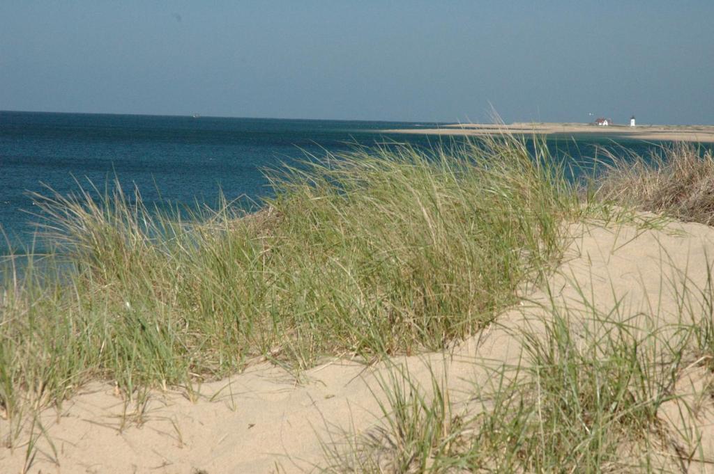 Anchor Inn Beach House Provincetown Bagian luar foto